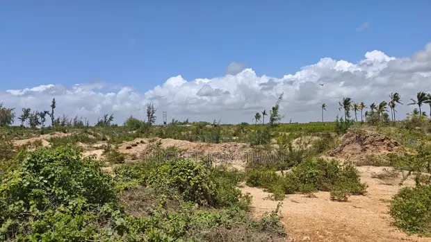2 Acres Land for Sale in Tezo, Kilifi - 4th Row from Beach - 1