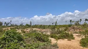 Eneo la Ekari 2 kwa Uuzaji Tezo, Kilifi - Safu ya 4 kutoka Bahari