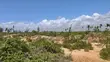 2 Acres Land for Sale in Tezo, Kilifi - 4th Row from Beach - 1