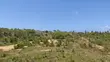 2 Acres Land for Sale in Tezo, Kilifi - 4th Row from Beach - 2
