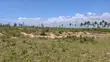 2 Acres Land for Sale in Tezo, Kilifi - 4th Row from Beach - 3