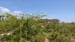 2 Acres Land for Sale in Tezo, Kilifi - 4th Row from Beach - 5