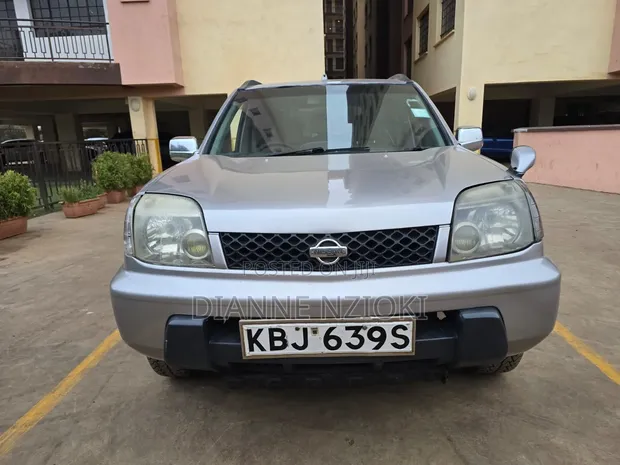 Nissan X-Trail 2002 Silver - 1