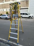 Titan Fiberglass Platform Ladder yenye Safety Cage - 2