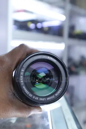 Canon EF-S 55-250mm f/4-5.6 IS II Lens