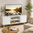 Kikasha cha TV cha Mbao chenye Kudumu kwa Sebule ya Kisasa - 1