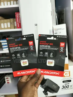SanDisk Extreme GO 128GB microSD UHS-I Card