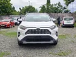 Toyota RAV4 Adventure AWD 2020 - 1