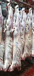 Goat/Sheep Meat - 1