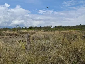 Prime Land Opposite Kamangura Airstrip, Nanyuki