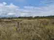 Ardhi Bora Opposite Uwanja wa Ndege wa Kamangura, Nanyuki - 1