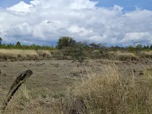 Prime Land Opposite Kamangura Airstrip, Nanyuki
