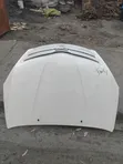 Toyota Allion 240 Bonnet - 1