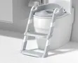 Ziggy Baby Toilet Ladder Imerejeshwa - 1