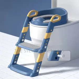 Ziggy Baby Toilet Ladder Imerejeshwa