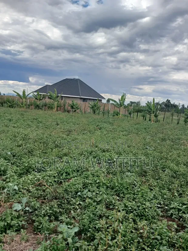 50x100 Plots for Sale in Mangu, Nakuru County - 1