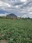 50x100 Plots for Sale in Mangu, Nakuru County - 1