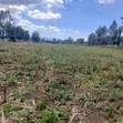 50x100 Plots for Sale in Mangu, Nakuru County - 2