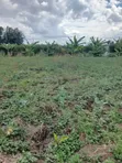 50x100 Plots for Sale in Mangu, Nakuru County - 5