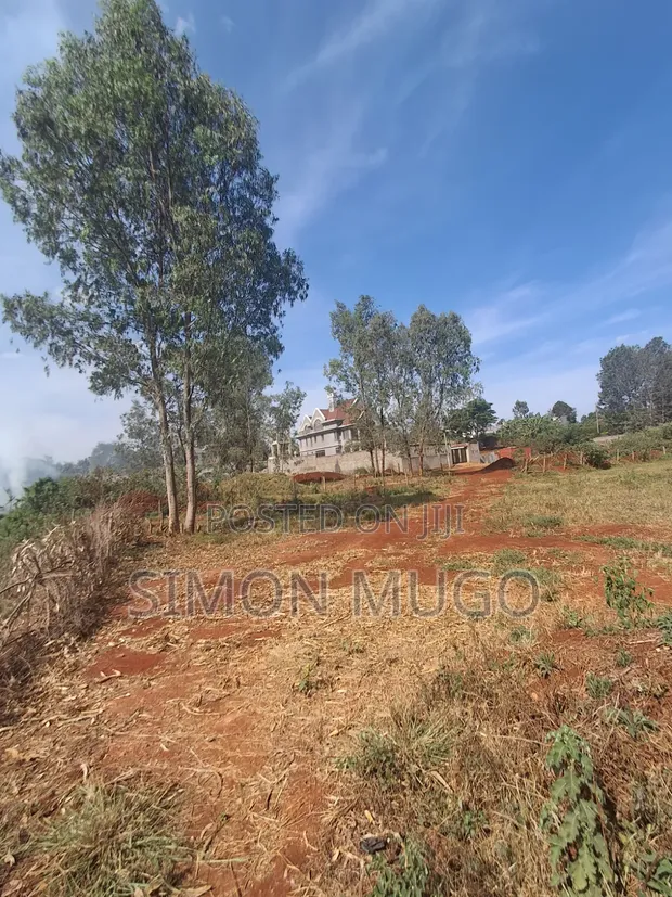 Golden Palm Estate Kiambu: 2 Adjoined 1/4 Acre Plots - Distress Sale - 1