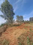 Golden Palm Estate Kiambu: 2 Adjoined 1/4 Acre Plots - Distress Sale - 1