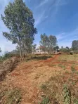 Golden Palm Estate Kiambu: 2 Adjoined 1/4 Acre Plots - Distress Sale - 2