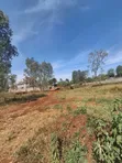 Golden Palm Estate Kiambu: 2 Adjoined 1/4 Acre Plots - Distress Sale - 3