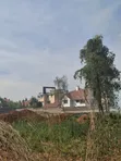 Golden Palm Estate Kiambu: 2 Adjoined 1/4 Acre Plots - Distress Sale - 5