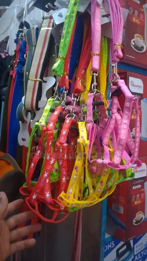 Brand New Dog Leash