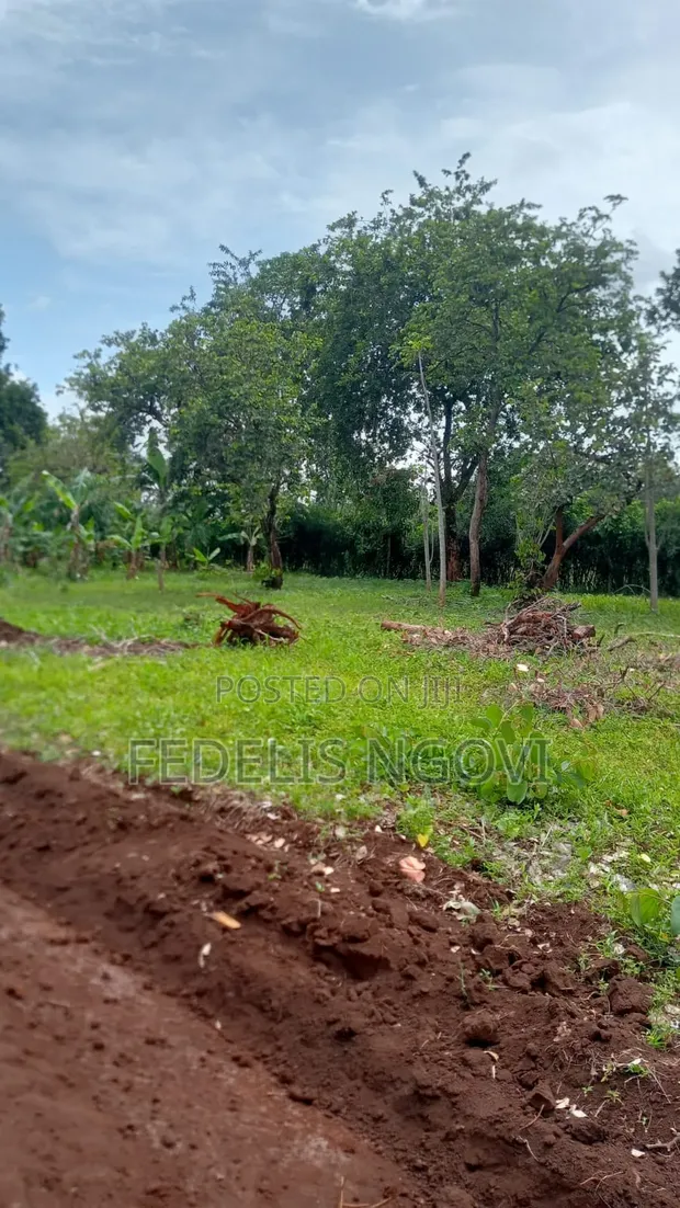 Murang'a Kambirwa Plots for Sale - 1
