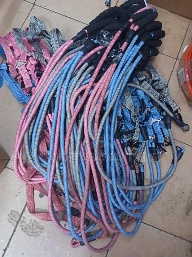 Brand New Dog Leash Available - 1