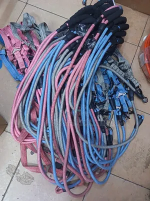 Brand New Dog Leash Available