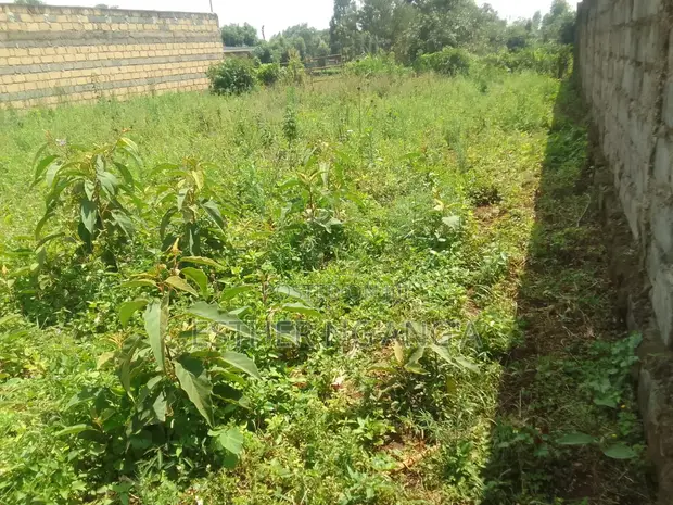 Plot for Sale in Wangige - 1