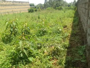Plot for Sale in Wangige