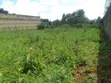 Plot for Sale in Wangige - 2