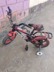 Alex Kids Bicycle (Used) - 3