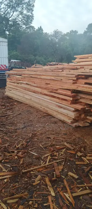 Bark & Beam Timber