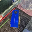 AMD Radeon Pro WX 7100 8GB GDDR5 Graphics Card ya Workstation - 3