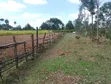 Hekta 5 Kasuku, Kaunti ya Nyandarua kwa Uuzaji - 1