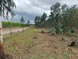 Hekta 5 Kasuku, Kaunti ya Nyandarua kwa Uuzaji - 3