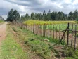 Hekta 5 Kasuku, Kaunti ya Nyandarua kwa Uuzaji - 4