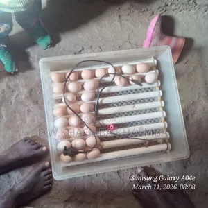 Inkubeta Mayai Iliyotumika - Uwezo wa Mayai 104