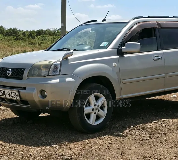 Nissan X-Trail 2003 Silver - 1