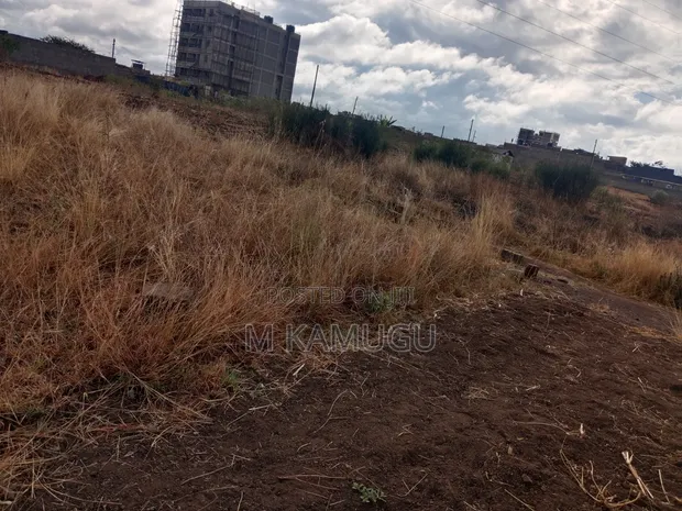 Kitalu cha 40x80 kwa Uuzaji Juja (Witeithie) - 1