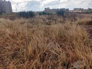 Kitalu cha 40x80 kwa Uuzaji Juja (Witeithie)