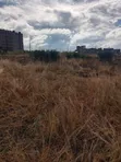 Kitalu cha 40x80 kwa Uuzaji Juja (Witeithie) - 4