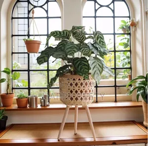 BohoBlack Rattan Plant Stand Set of 3
