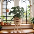 BohoBlack Rattan Plant Stand Set of 3 - 5