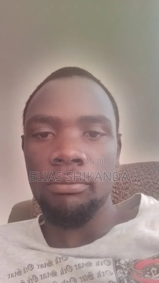 Data Entry Clerk CV - Elias - 1