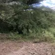 Eneo la Ekari 2 Karibu na Hifadhi ya Taifa ya Nairobi - 3